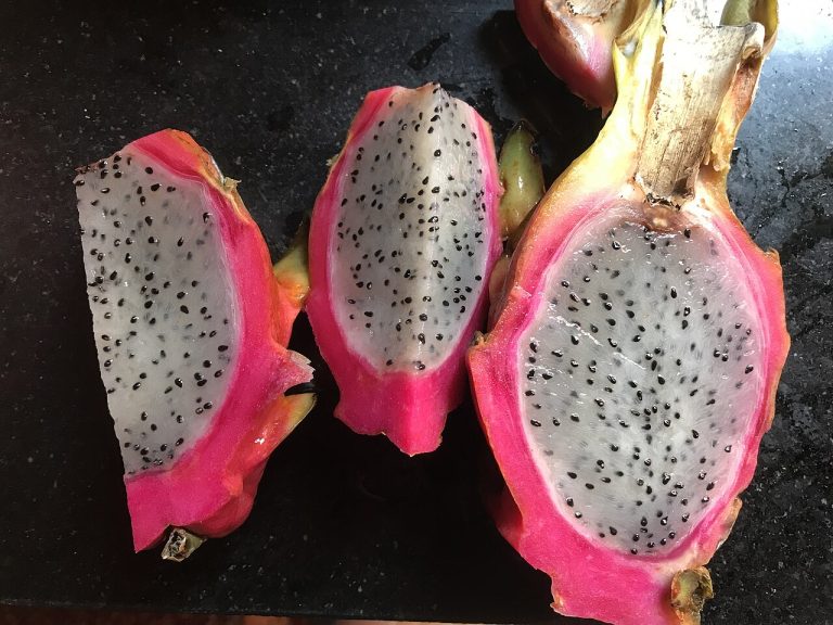 Fresh Dragon Fruit Wholesale