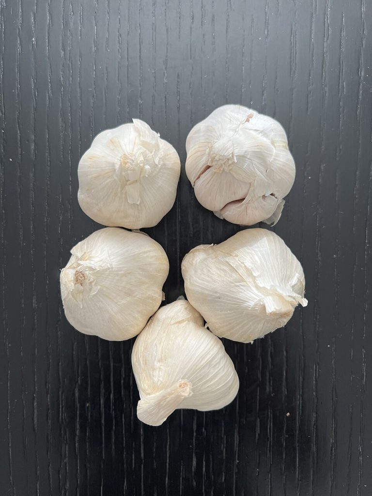 Fresh Garlic Bulbs Wholesale