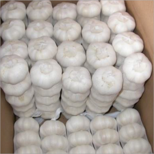 Fresh Garlic Bulbs Wholesale