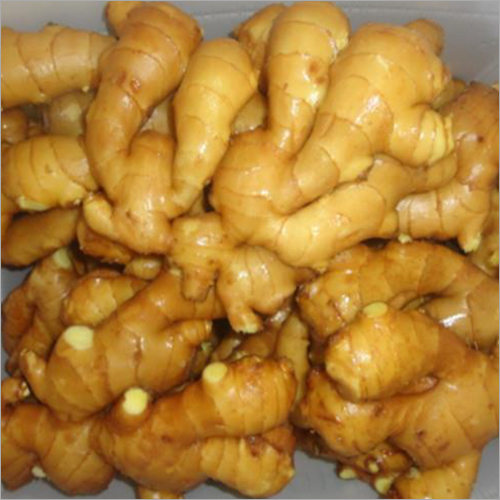 Fresh Ginger Root Wholesale