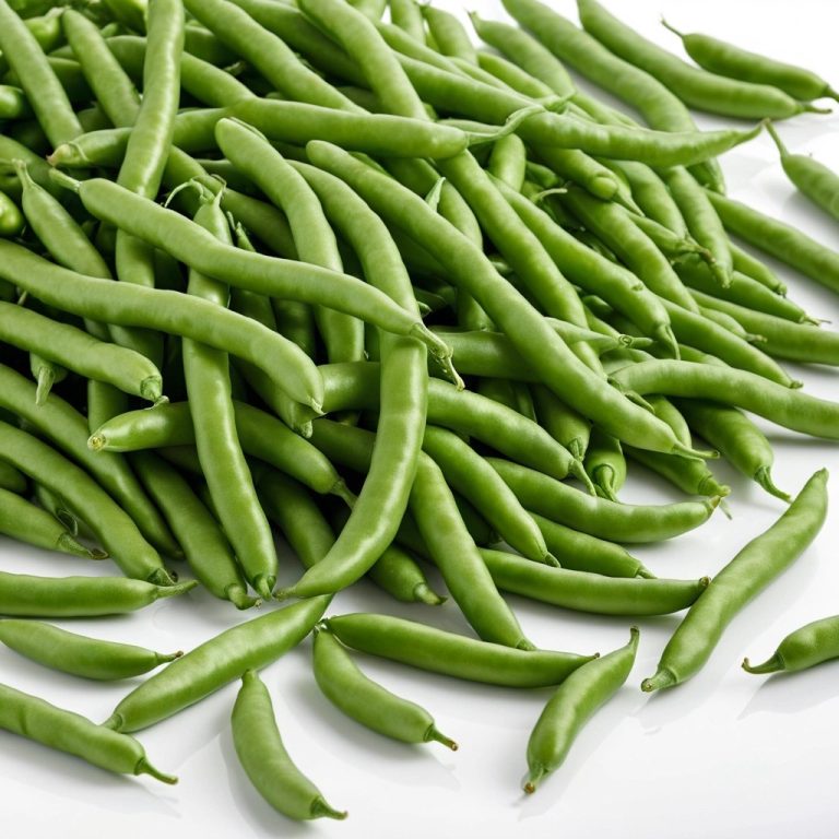 Fresh Green Beans Wholesale