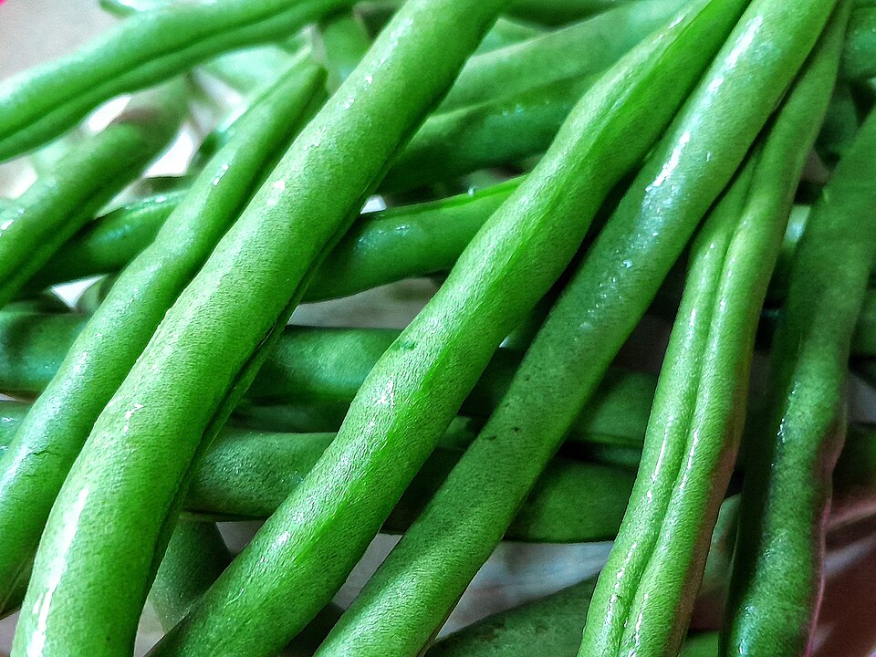 Fresh Green Beans