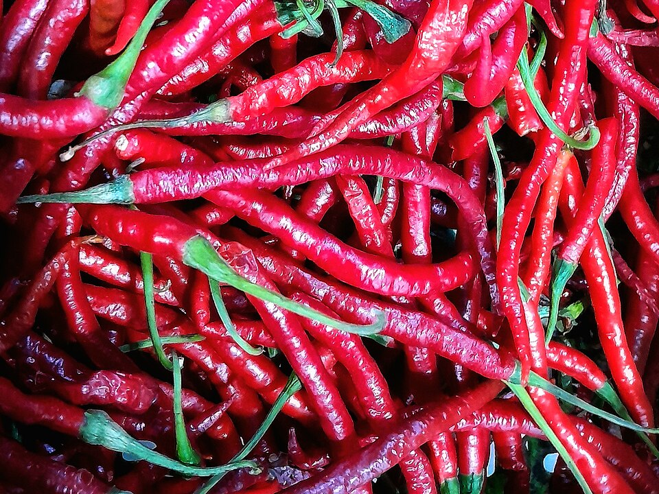 Fresh Green Chili Peppers