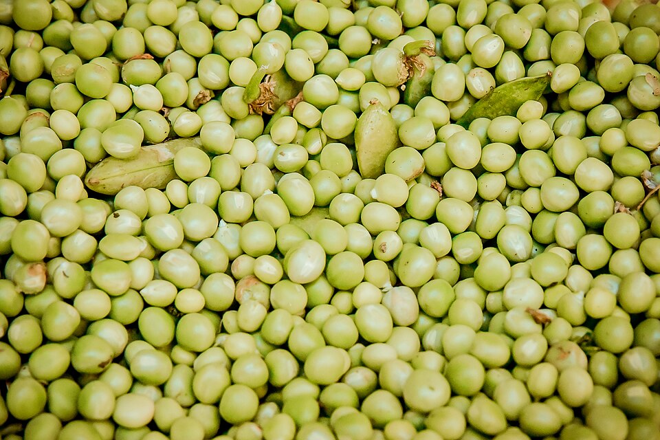Fresh Green Peas