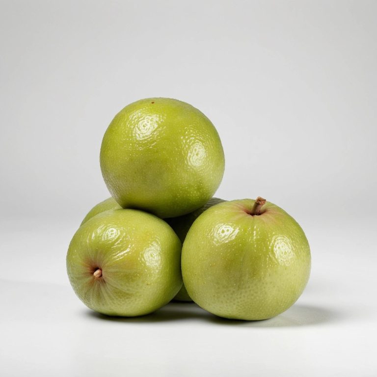 Fresh Guava Wholesale