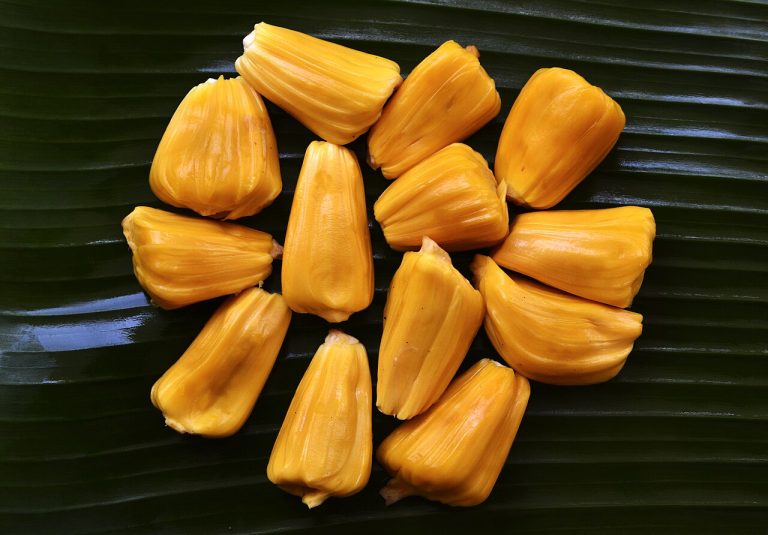 Fresh Jackfruit Wholesale