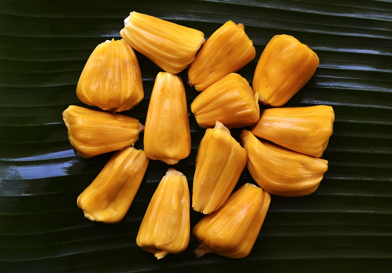 Fresh Jackfruit Wholesale pack for wholesale and international export