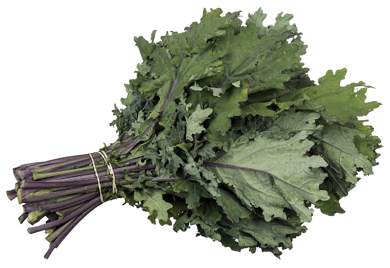 Fresh Kale Wholesale pack for wholesale and international export