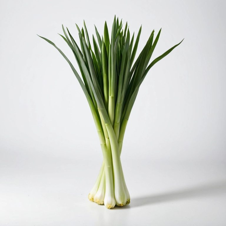 Fresh Leeks Wholesale