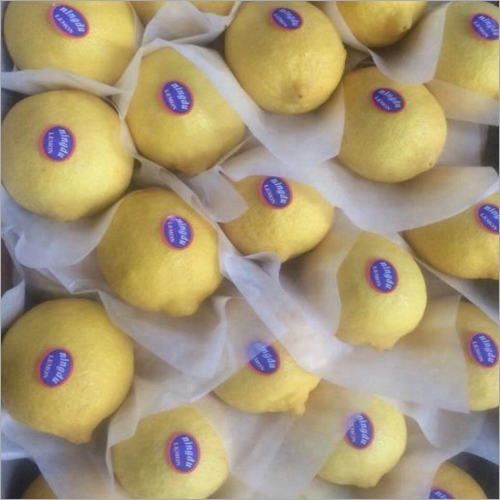 Fresh Lemons and Limes Wholesale pack for wholesale and international export