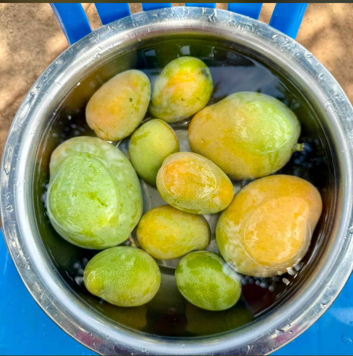 Fresh Mangoes