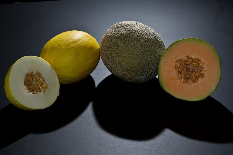 Fresh Melons Wholesale