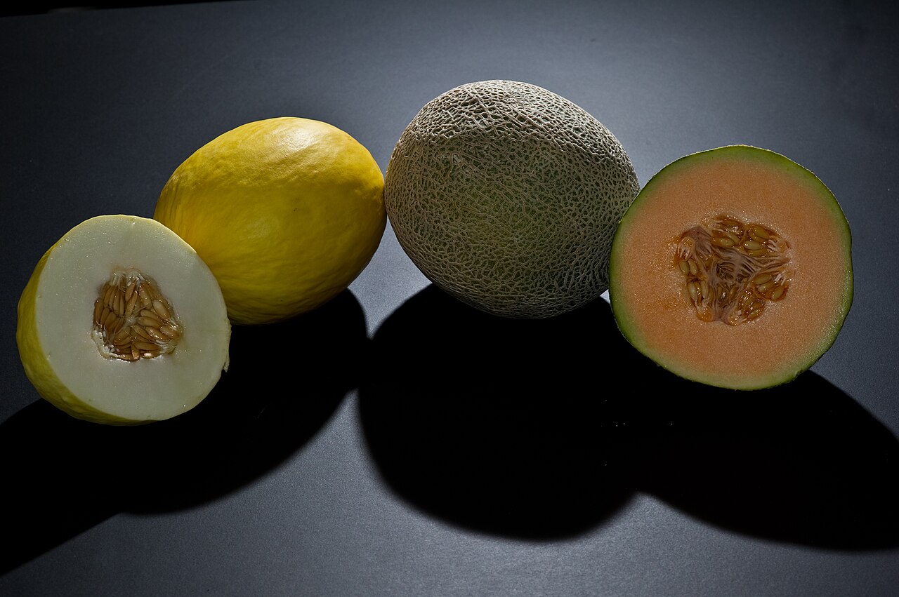 Fresh Melons Wholesale pack for wholesale and international export