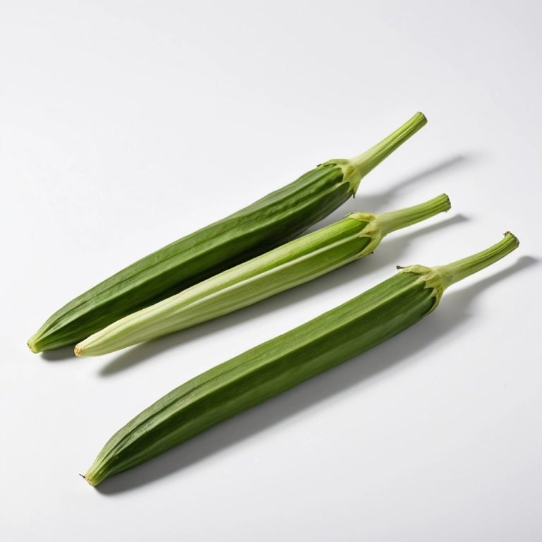Fresh Okra Wholesale