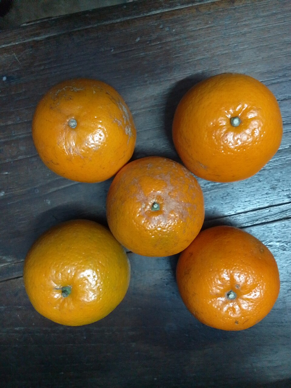 Fresh Oranges
