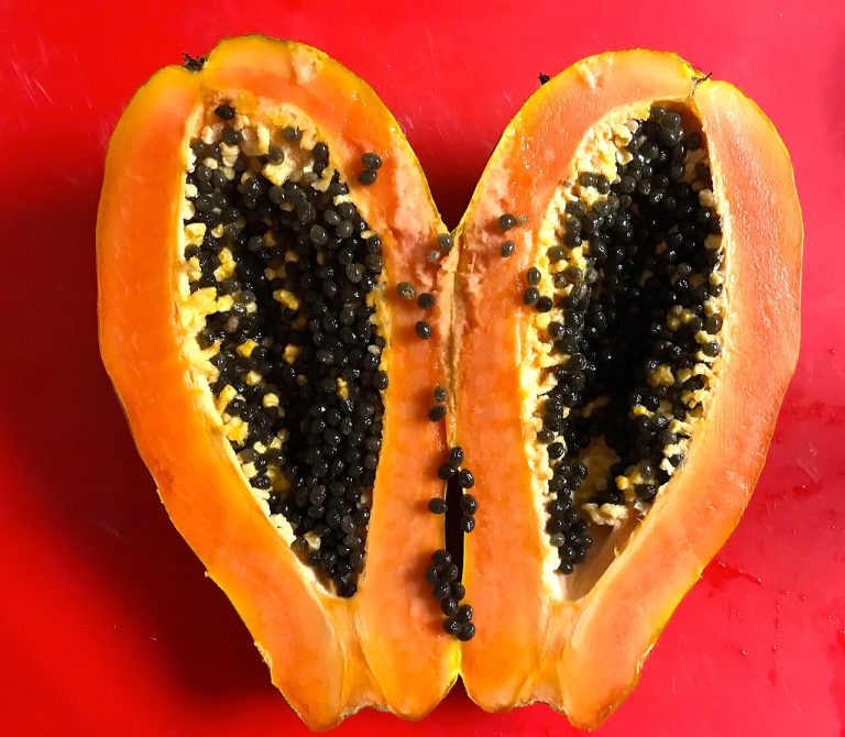 Fresh Papayas Wholesale