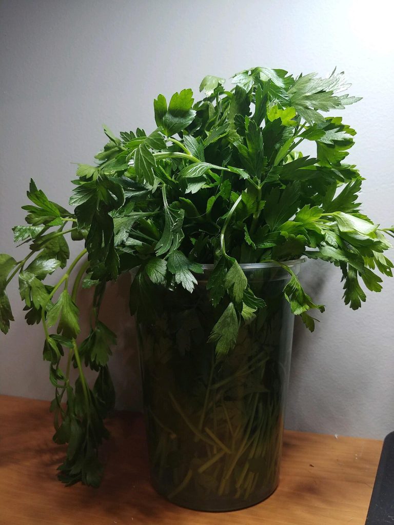 Fresh Parsley Wholesale
