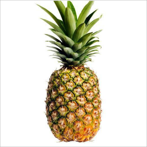 Fresh Pineapples Wholesale