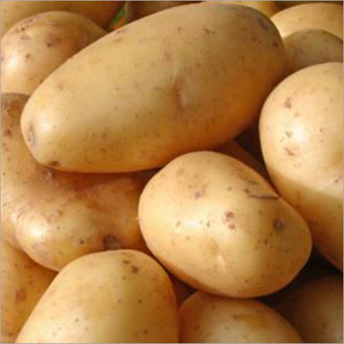Fresh Potatoes Wholesale