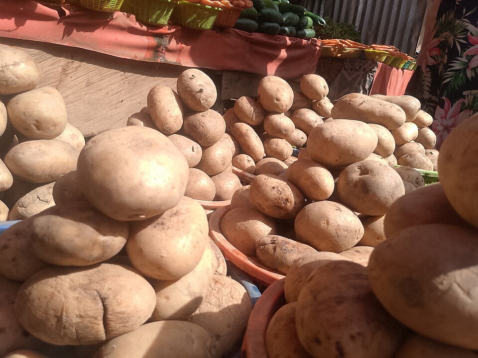 Fresh Potatoes