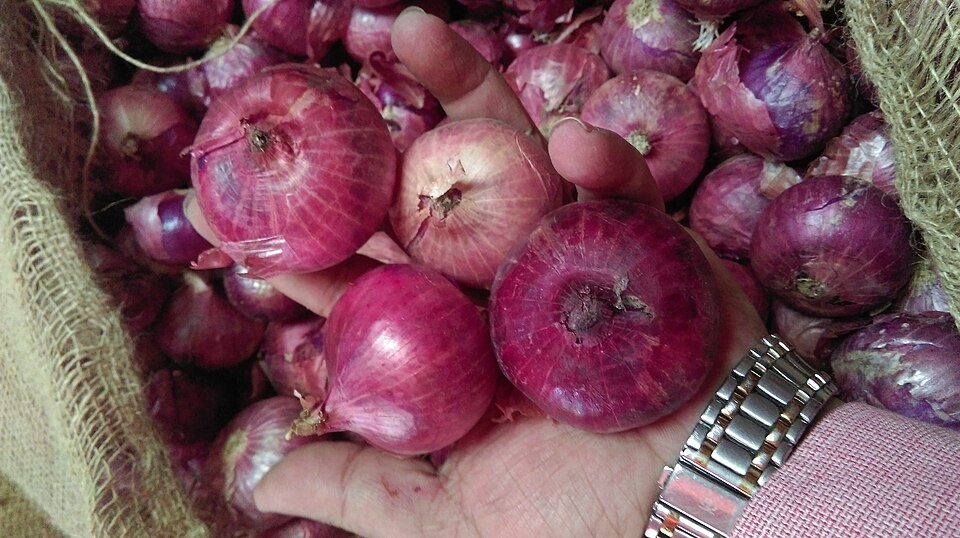 Fresh Red Onions