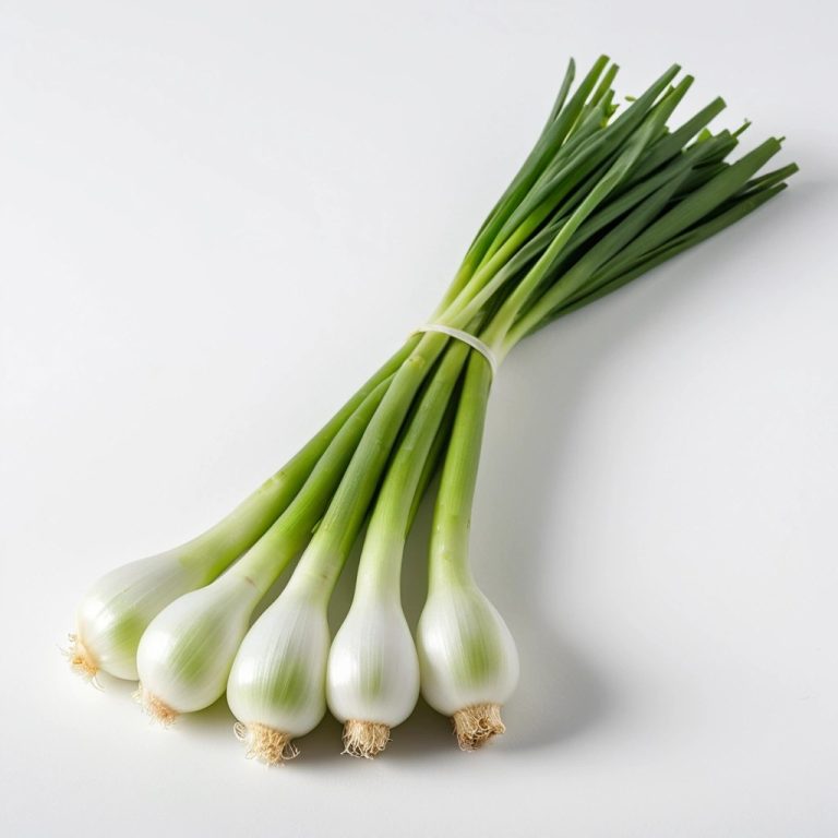Fresh Spring Onions Wholesale