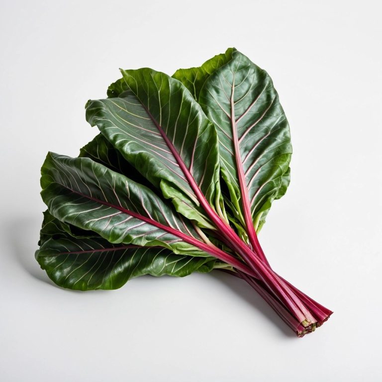 Fresh Swiss Chard Wholesale
