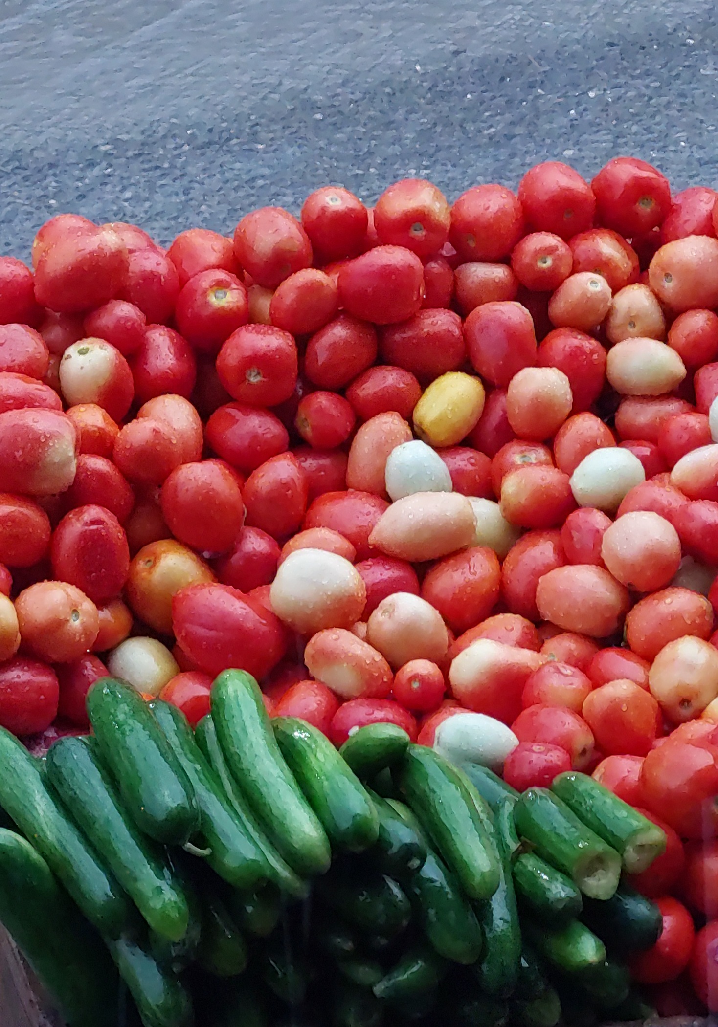 Fresh Tomatoes