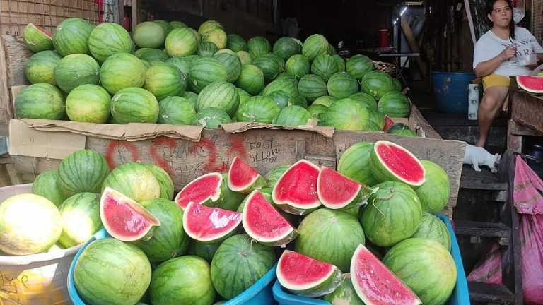 Fresh Watermelons Wholesale