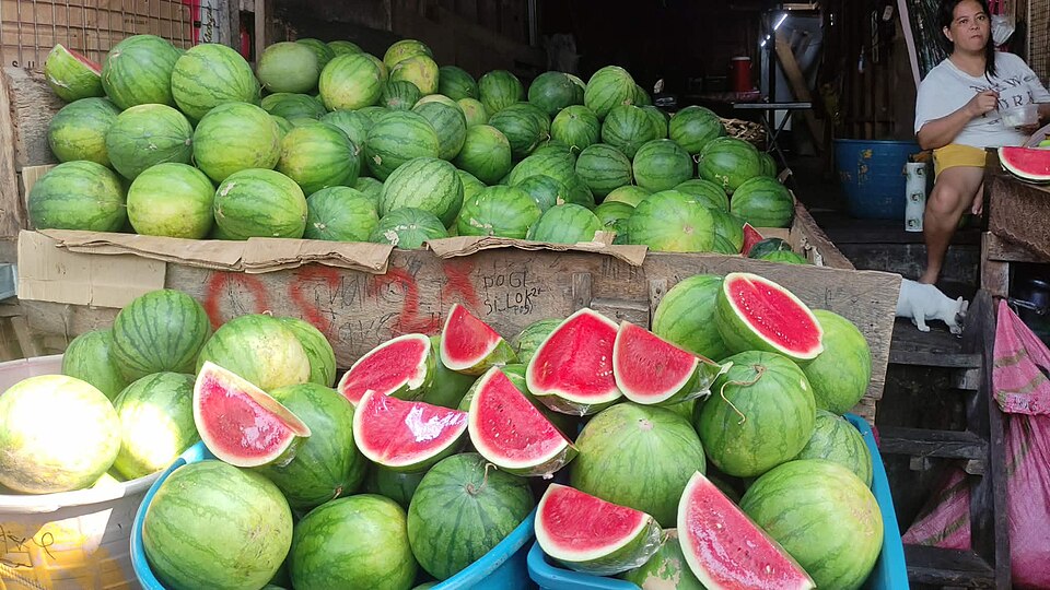 Fresh Watermelons