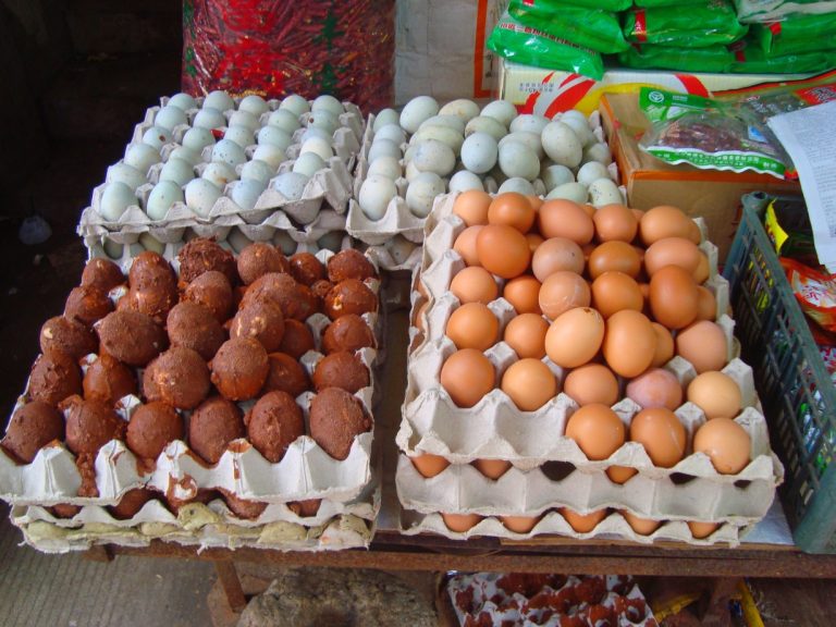 Fresh White Eggs Wholesale