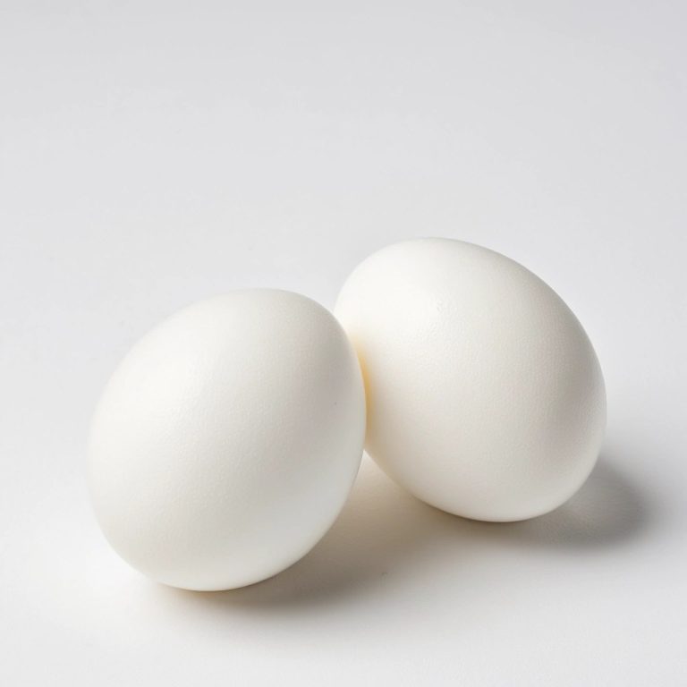 Fresh White Eggs Wholesale