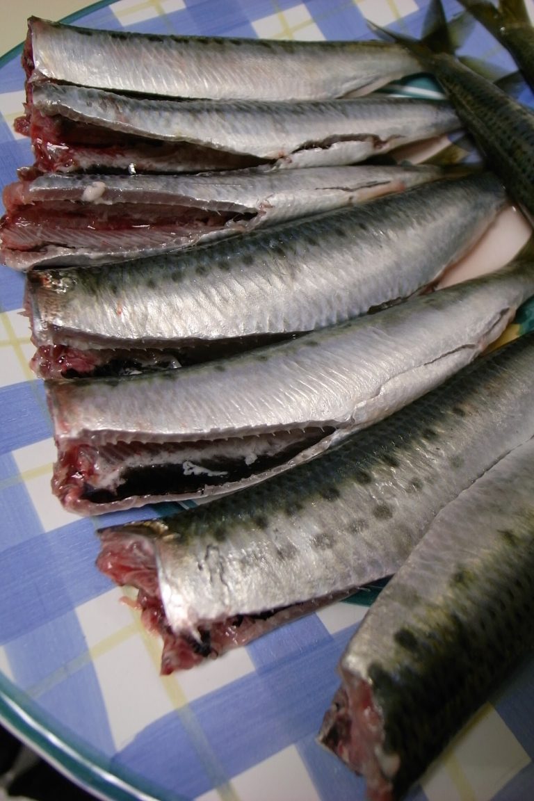 Fresh Whole Sardines Wholesale