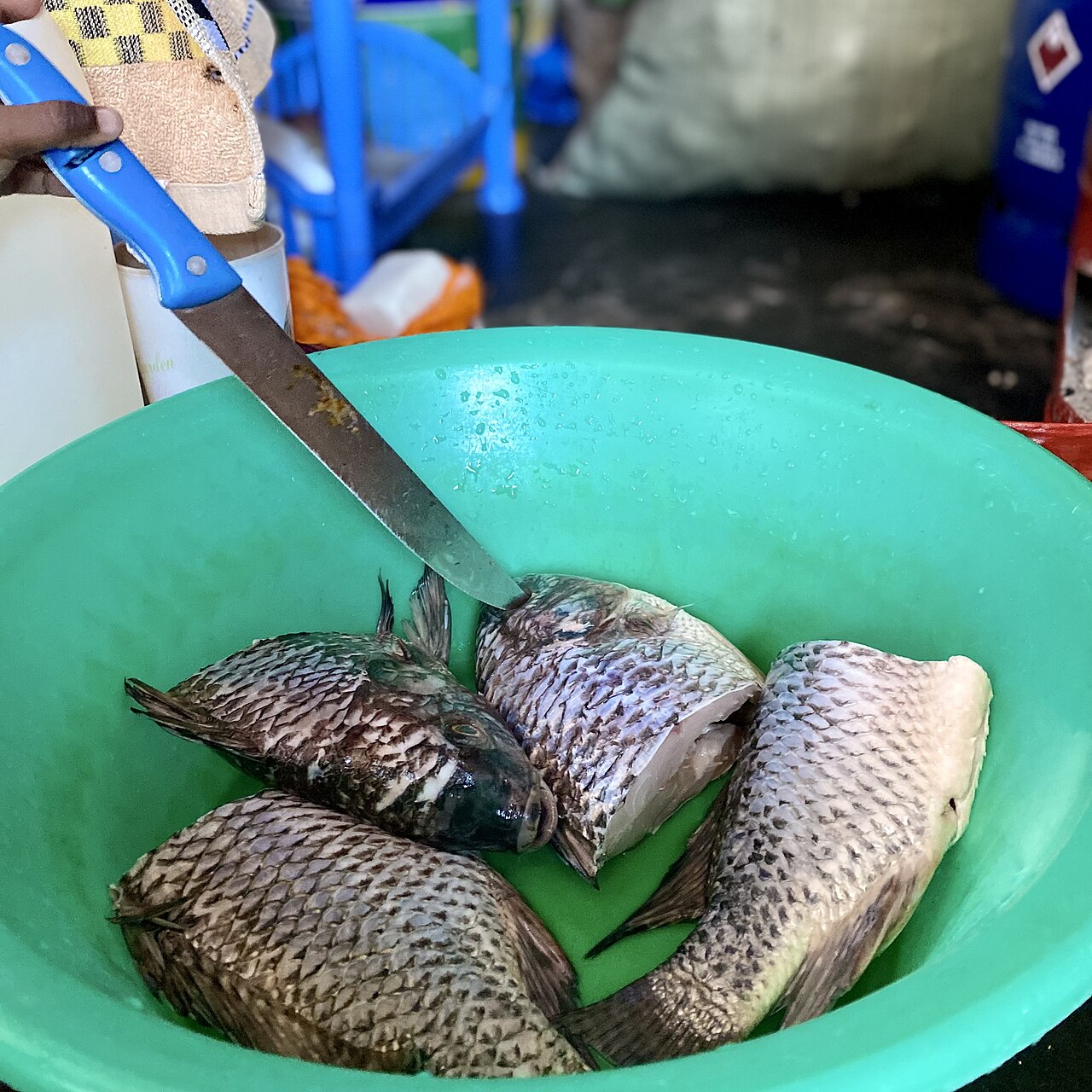 Fresh Whole Tilapia Wholesale pack for wholesale and international export