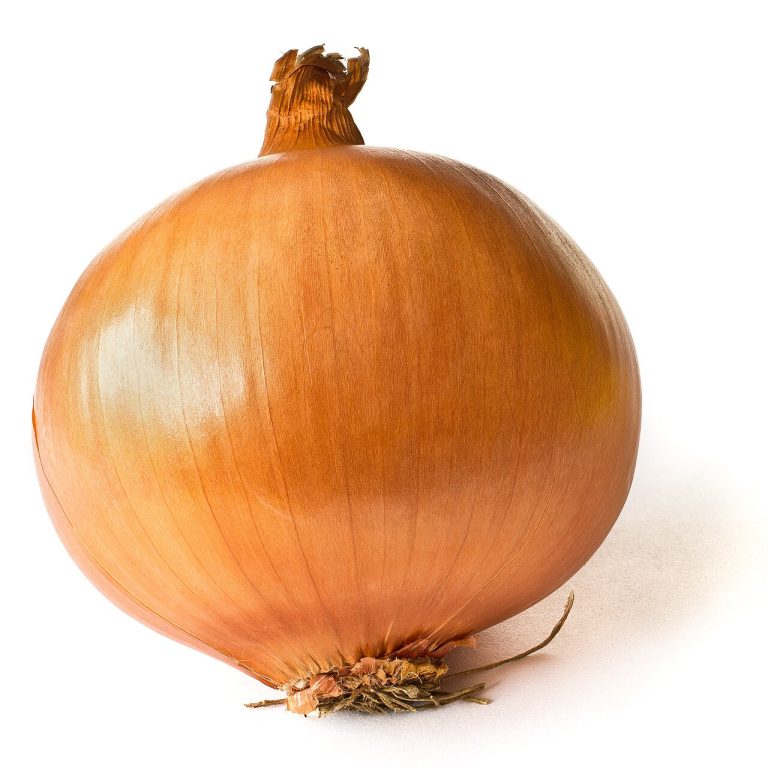 Fresh Yellow Onions Wholesale