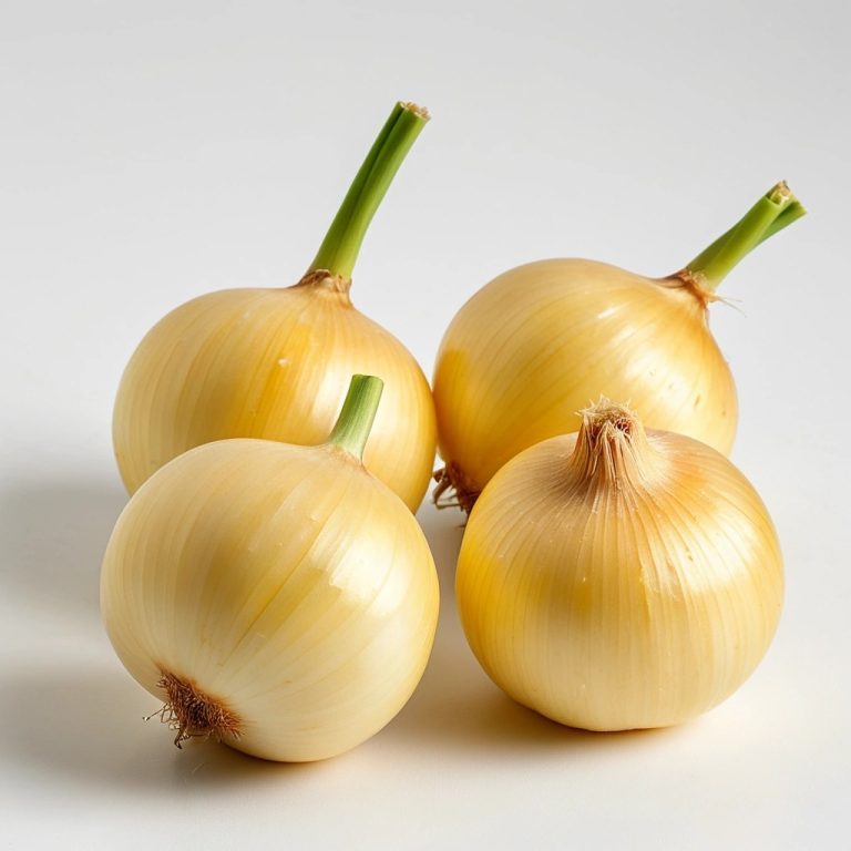 Fresh Yellow Onions Wholesale