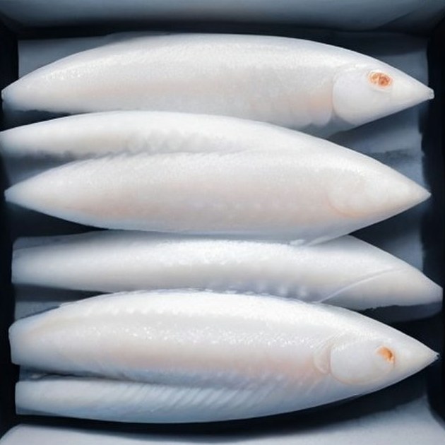 Frozen Alaska Pollock Wholesale