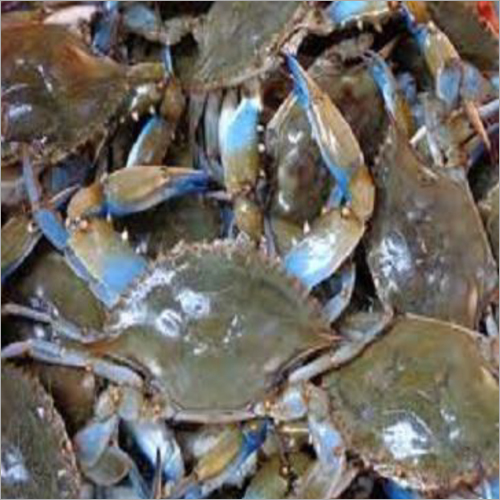 Frozen Crab Wholesale