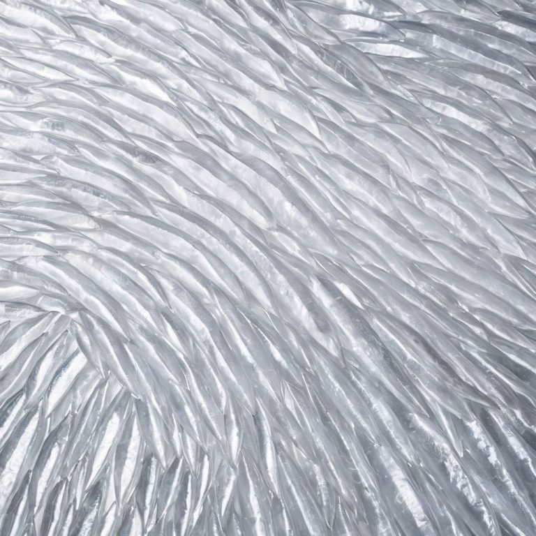 Frozen Herring Wholesale