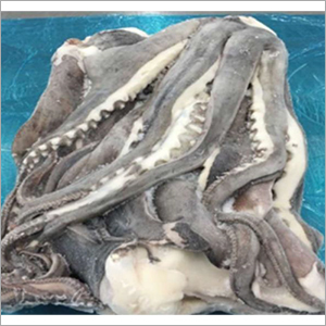 Frozen Illex Argentine Squid Whole Round Wholesale