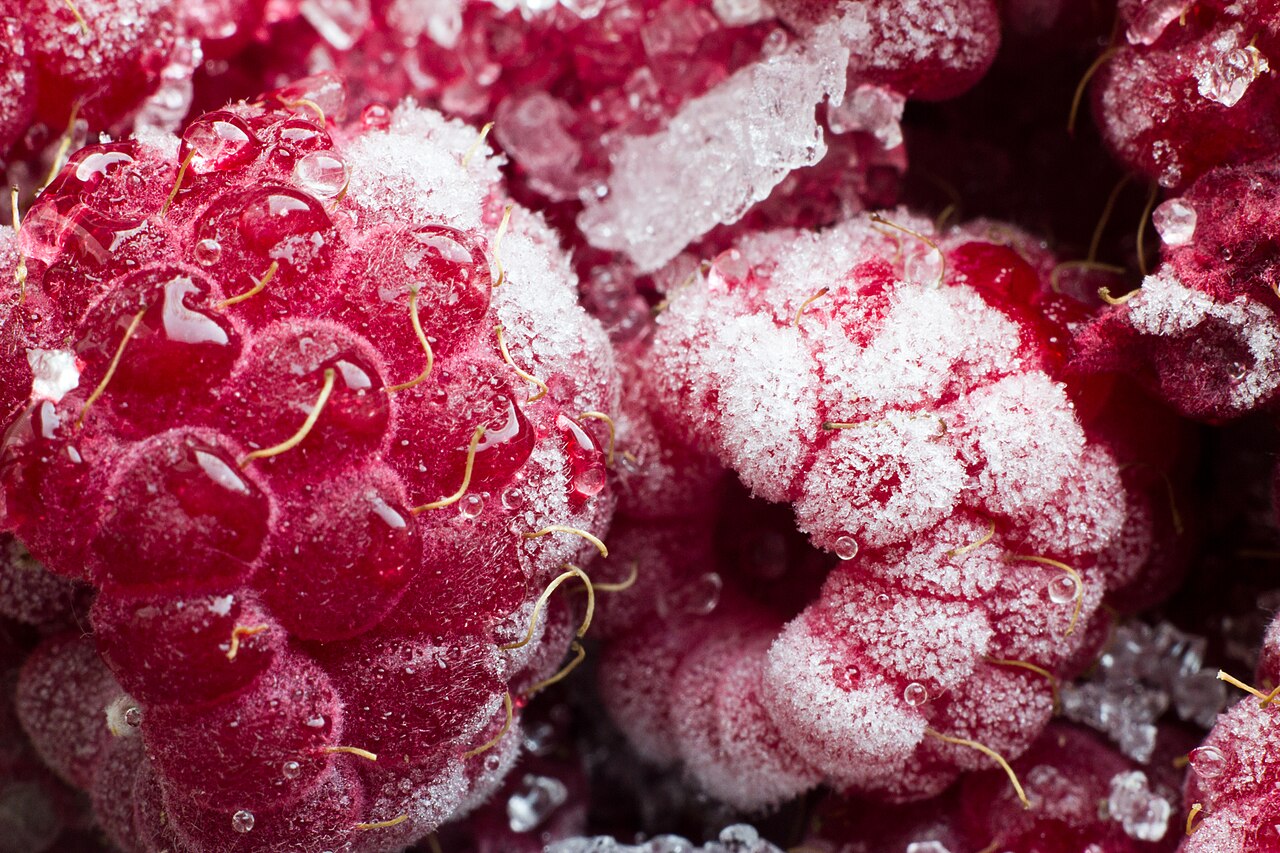 Frozen Mixed Fruits Wholesale pack for wholesale and international export