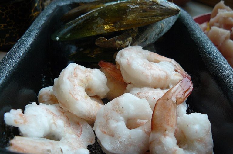 Frozen Mussels Wholesale