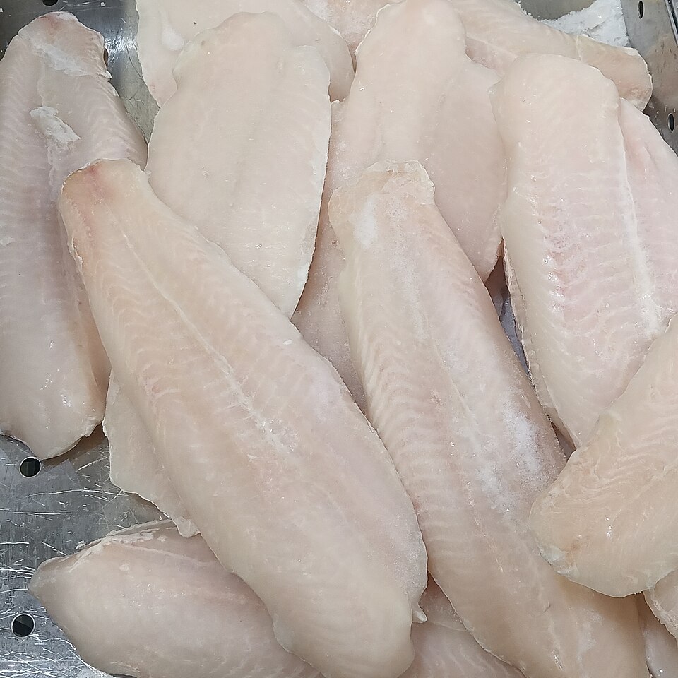 Frozen Pangasius Fillets