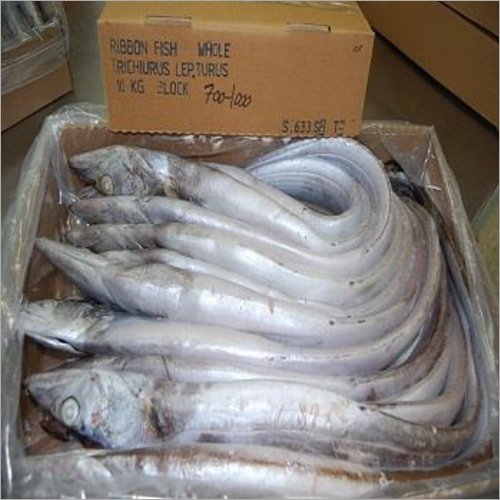 Frozen Ribbon Fish Whole Round Wholesale