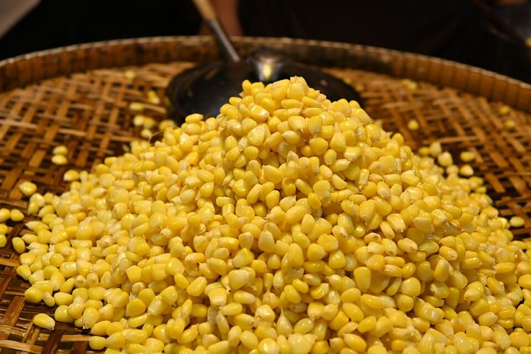 Frozen Sweet Corn Kernels Wholesale
