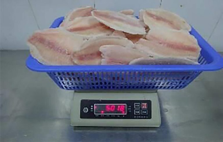 Frozen Tilapia Fillets Wholesale