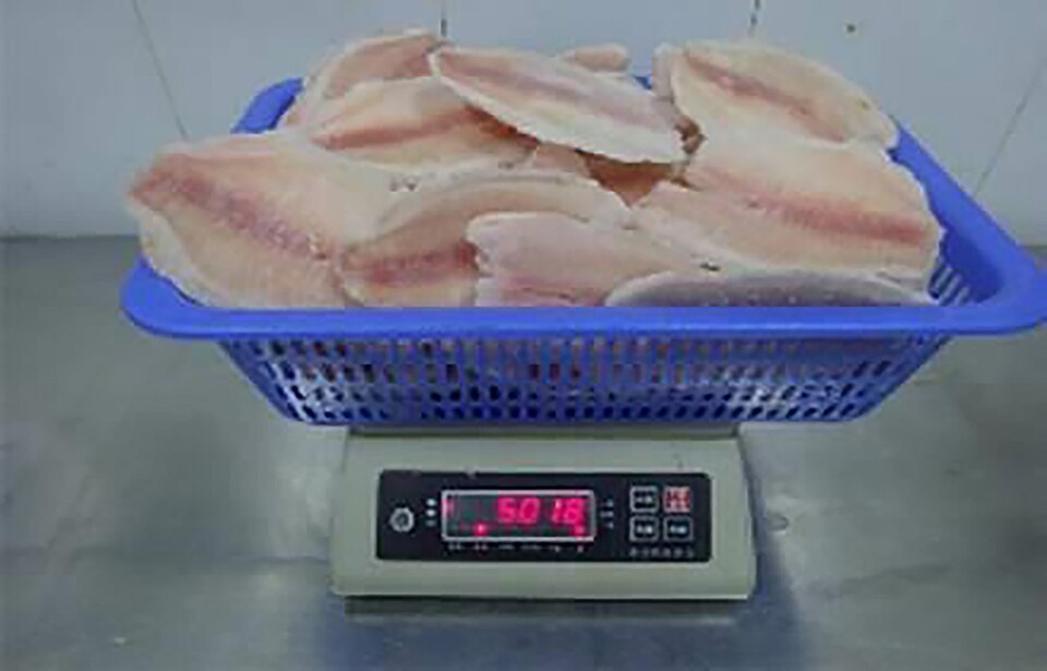 Frozen Tilapia Fillets