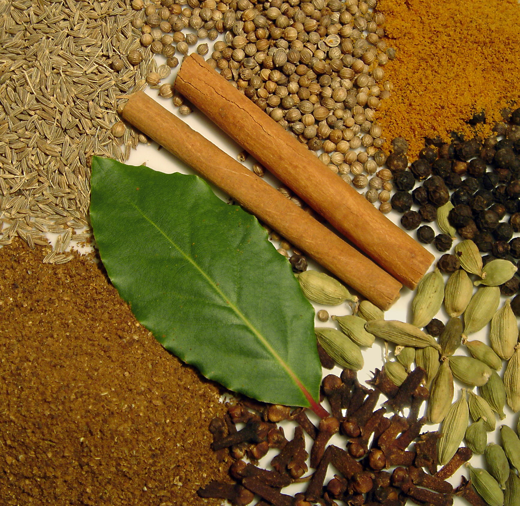 Garam Masala wholesale product name text; no product image requested