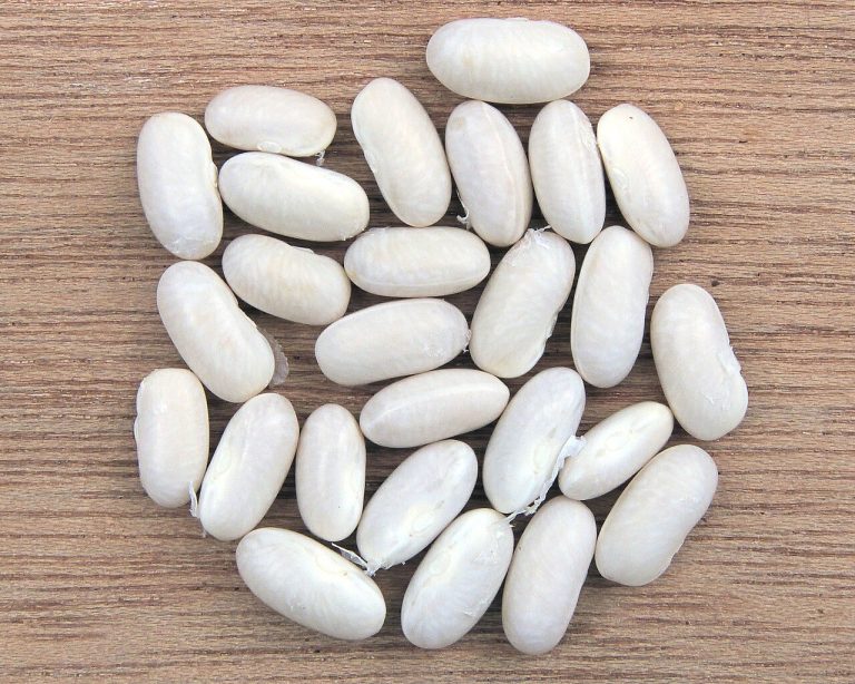 Great Northern Beans Wholesale