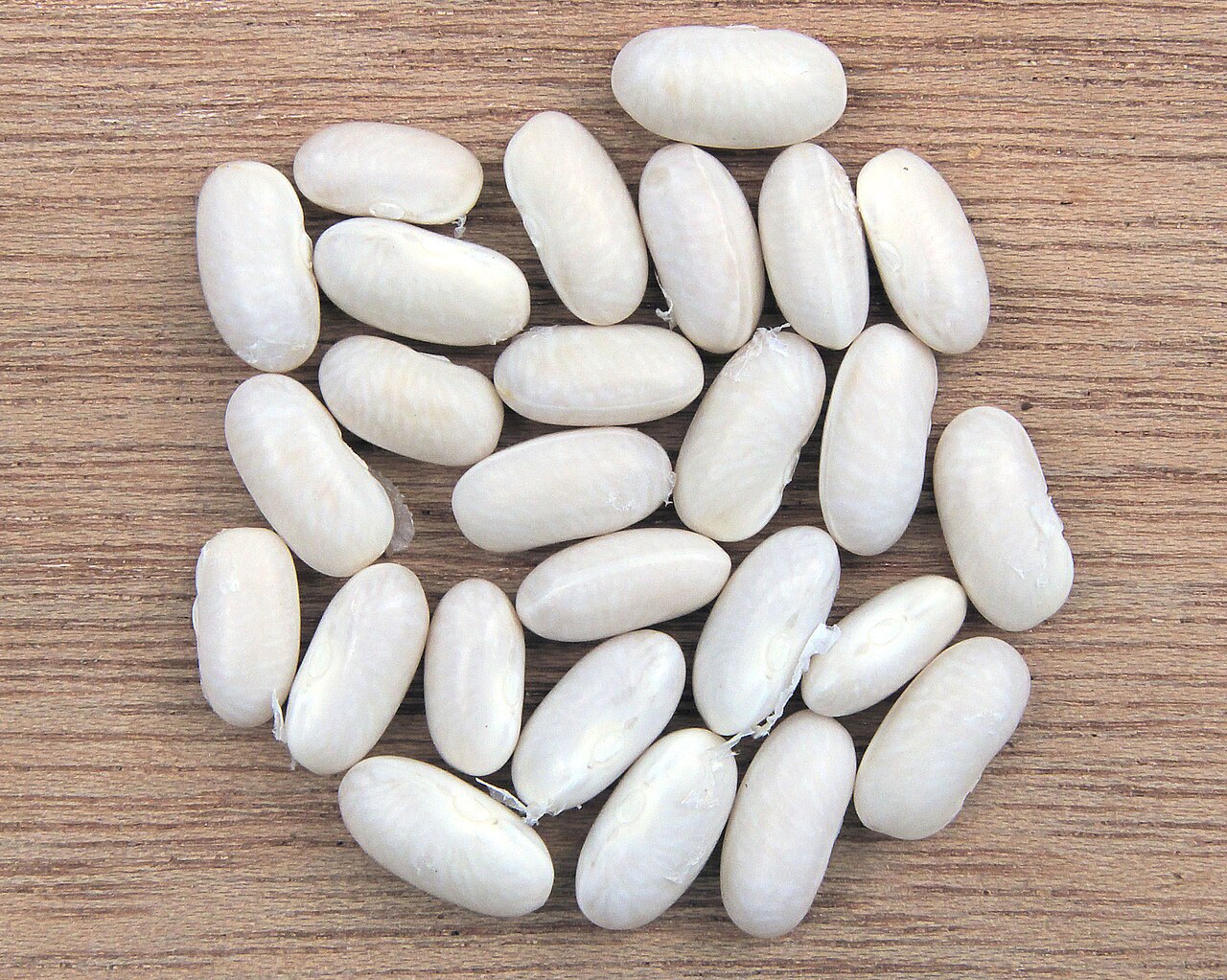 Great Northern Beans Wholesale wholesale product